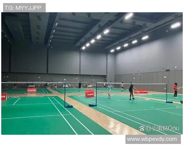 深圳羽毛球队配合分析与其他球队的对比研究